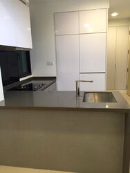 Sky Green (D13), Condominium #536188571